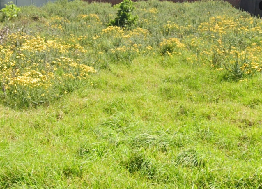Commercial Property for Sale in Paradise Beach Eastern Cape